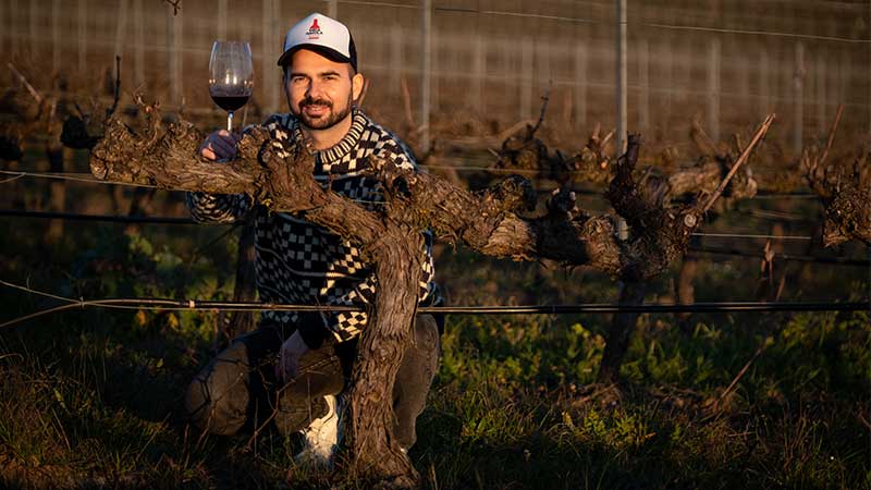 Paulo Abreu, criador da Meia Gaiola, na vinha em Campo Maior